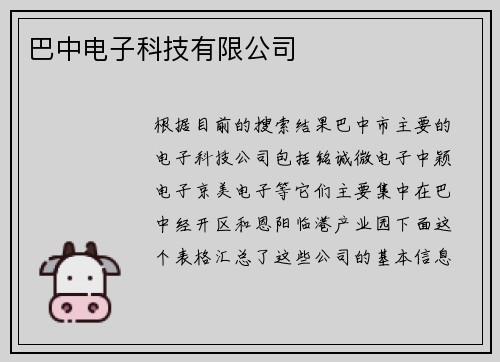 巴中电子科技有限公司